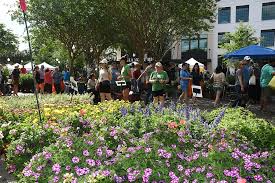 Community Garden Project Blooms in Downtown":